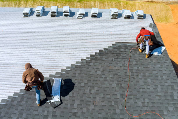 Best Shingle Roofing Installation  in Thornton, CO