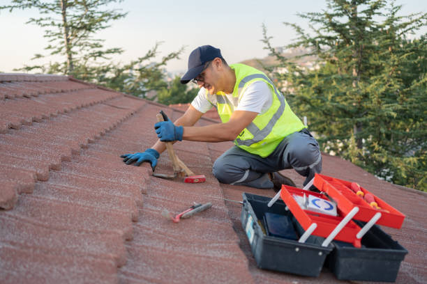 Sealant for Roof in Thornton, CO
