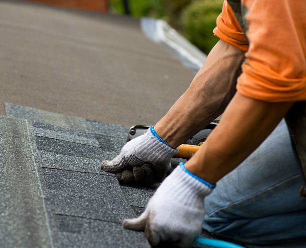 Best Commercial Roofing Services  in Thornton, CO