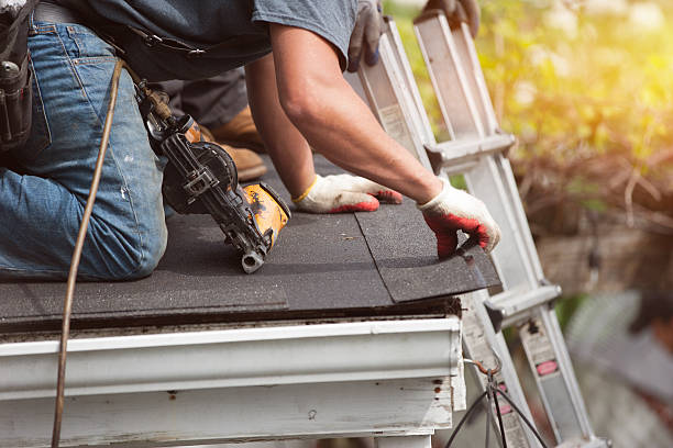 Best Local Roofing Companies  in Thornton, CO